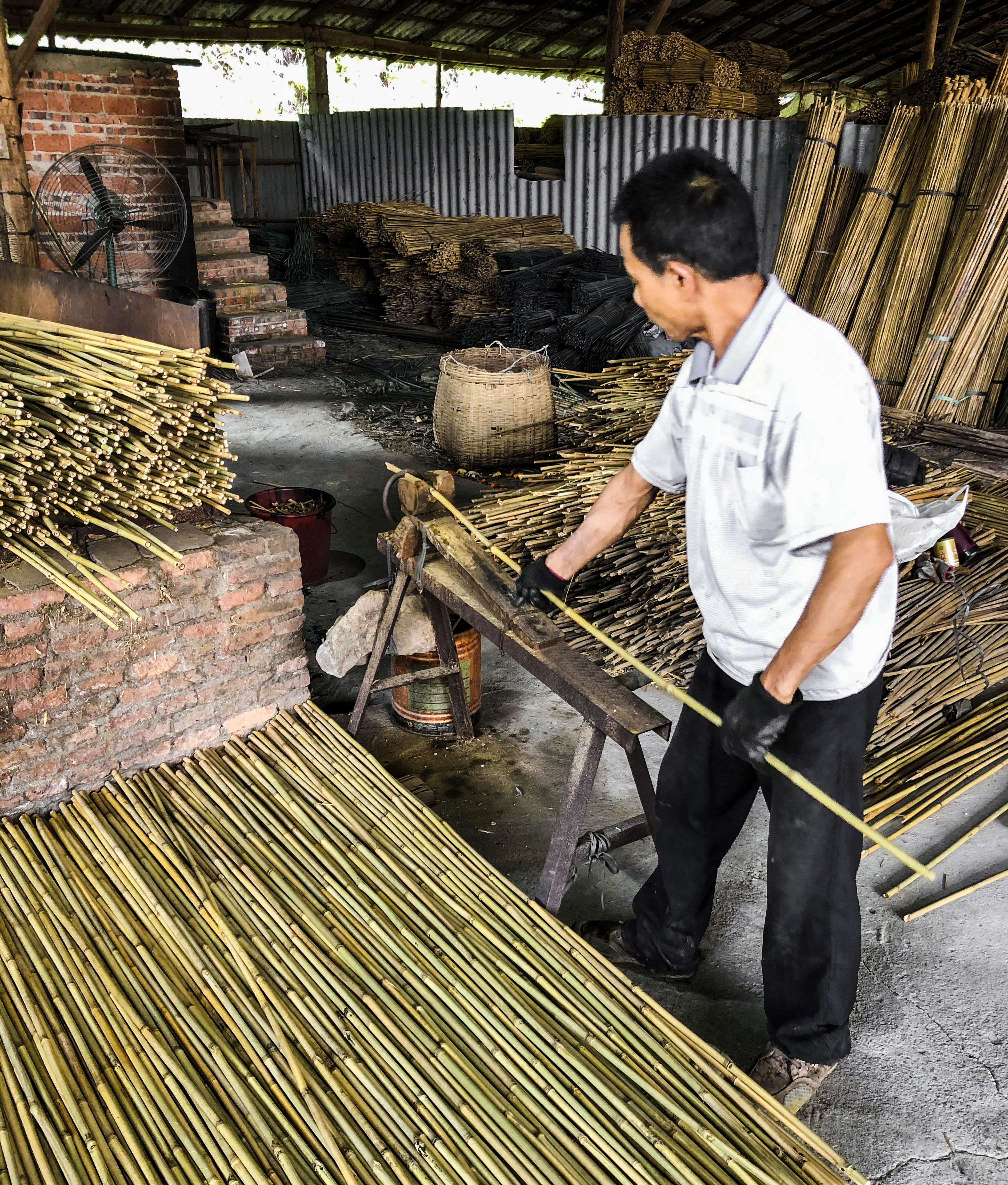 Bamboo Breaking Directly